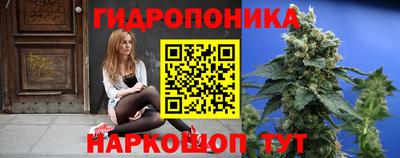 каннабис Новозыбков