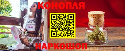 гидропоника Новокубанск